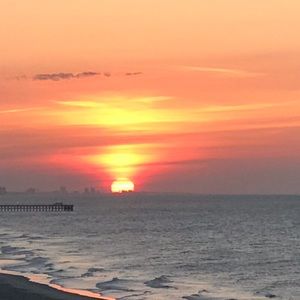 Meet your Posher, George